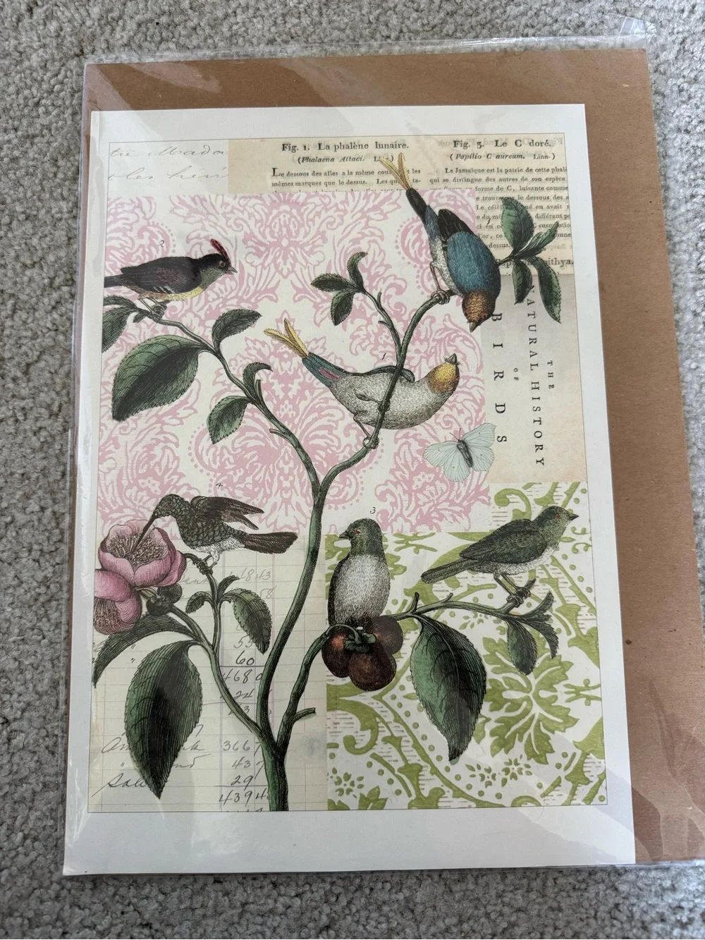 Botanical Birds Wall Art Print - Green/Pink